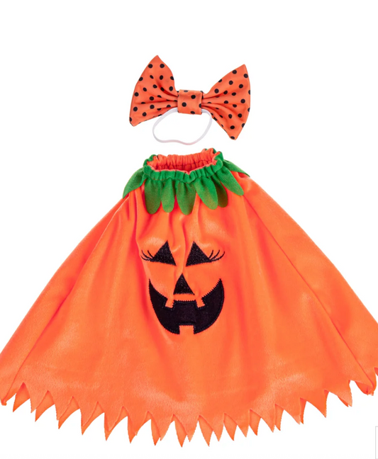 Giddy the Porch Goose Pumpkin Poncho Outfit
