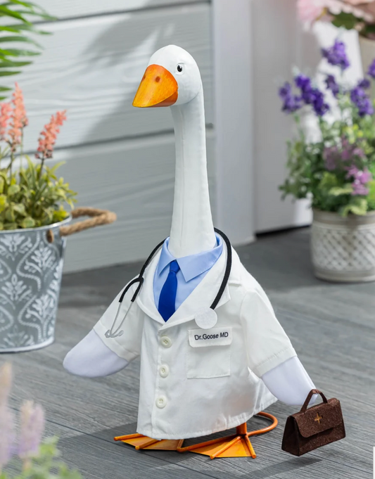 Giddy the Porch Goose Doctor Outfit