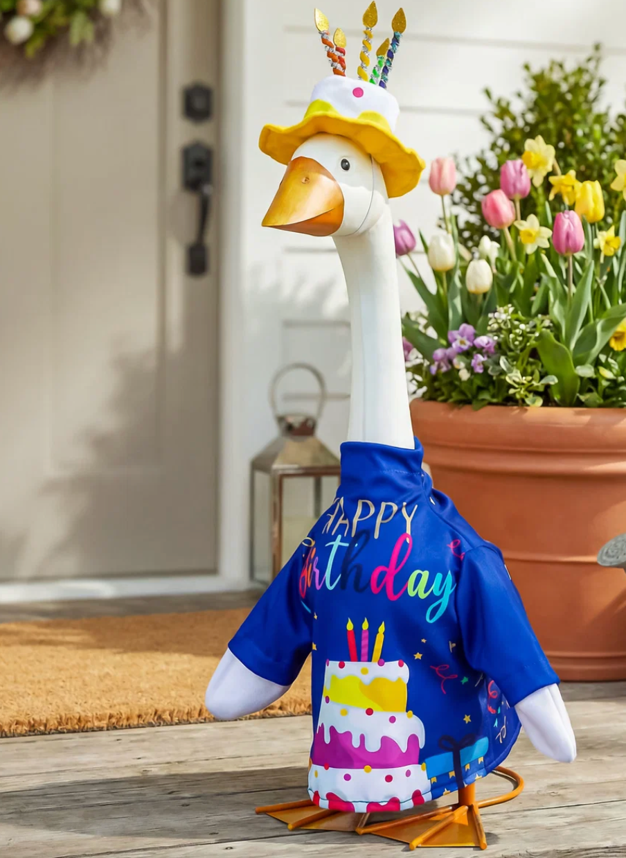 Giddy the Porch Goose Birthday Outfit