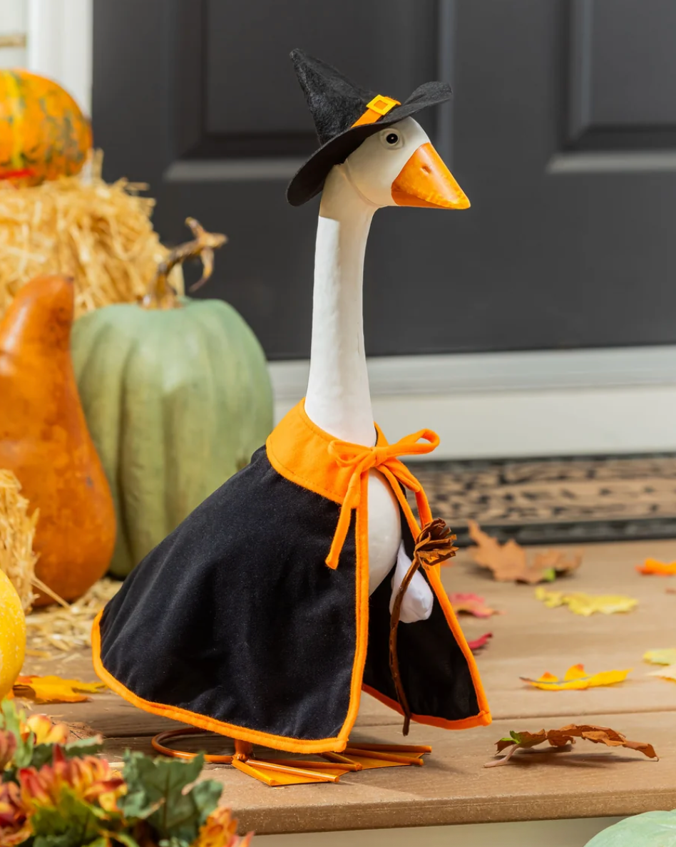 Giddy the Porch Goose Witch Outfit